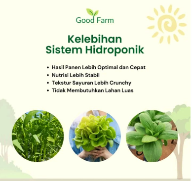 Hidroponik untuk Pemula (085774768813)