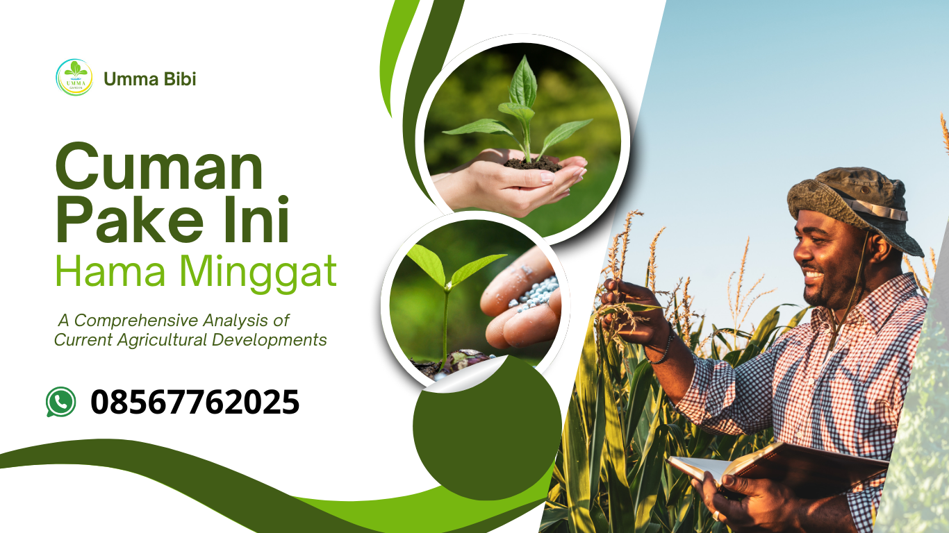 Cuma Pakai Ini Hama Langsung Minggat (08567762025)