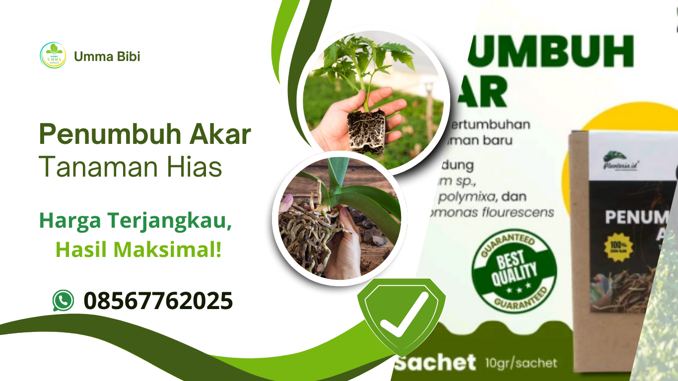 Penumbuh Akar Tanaman Hias (08567762025)