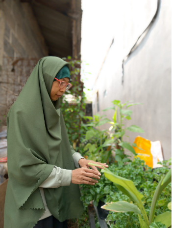 Panduan Berkebun di Lahan Sempit Bagi Pemula (08567762025)