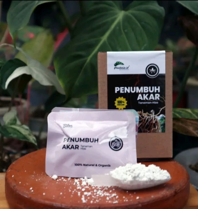 Penumbuh Akar Tanaman Hias Terbaik (08567762025)